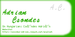 adrian csondes business card