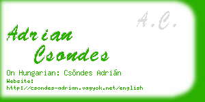 adrian csondes business card